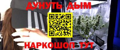 гашик Бузулук