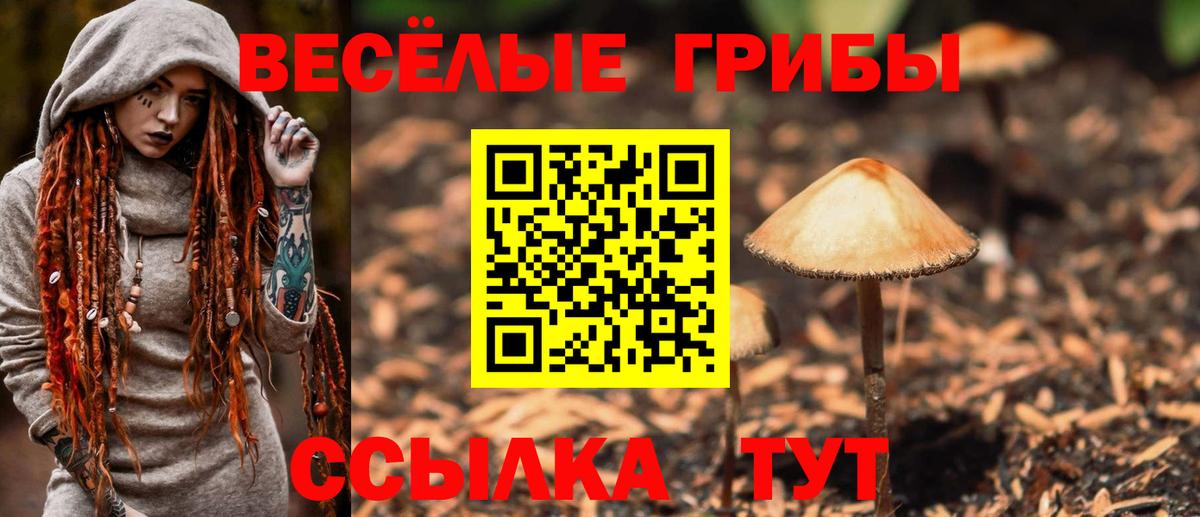 Галлюциногенные грибы Cubensis Кстово